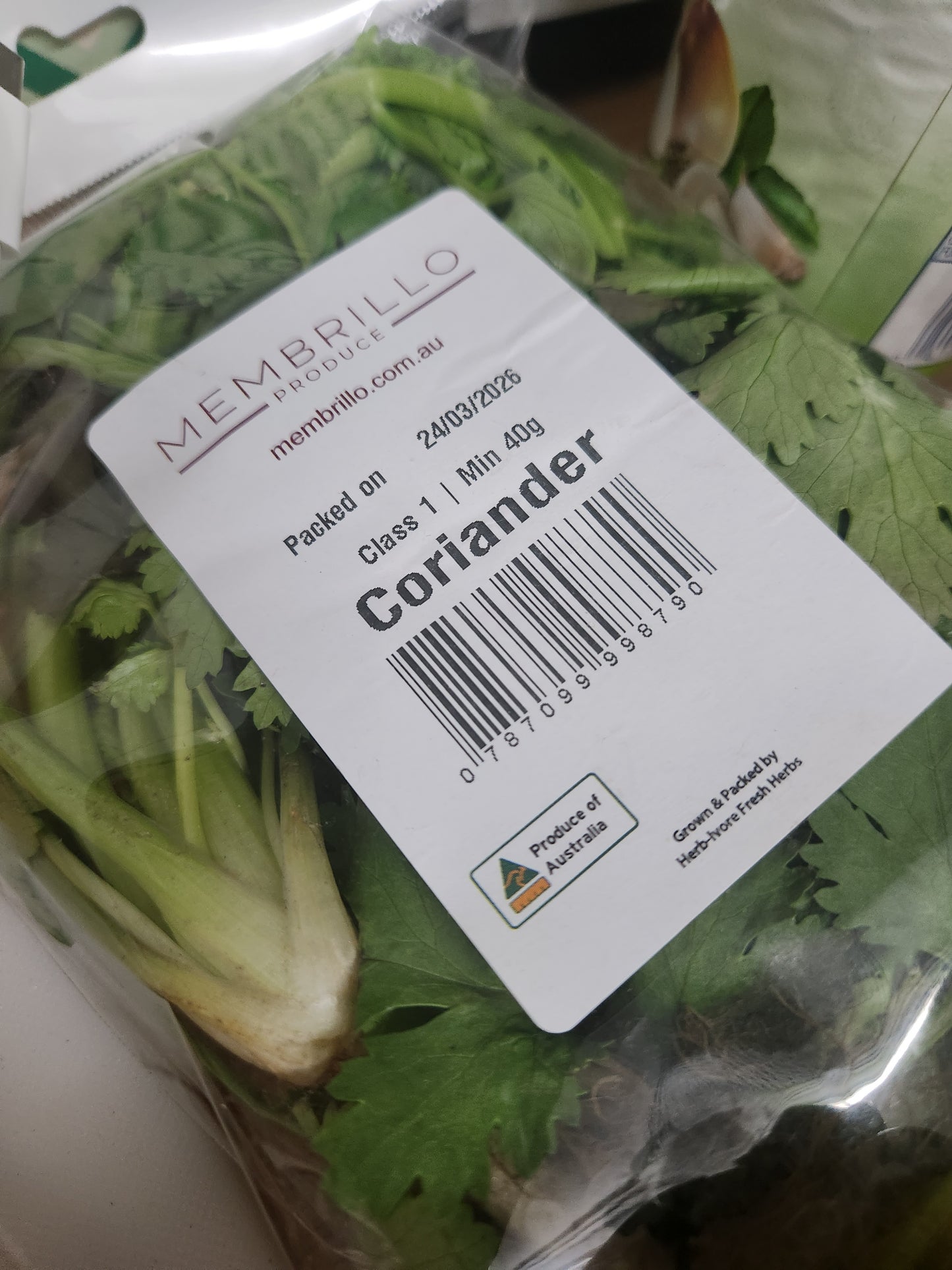 *PDF* Colorado Green Chilé Recipe